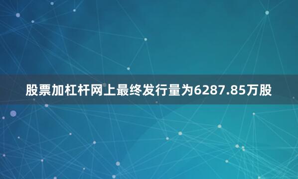 股票加杠杆网上最终发行量为6287.85万股