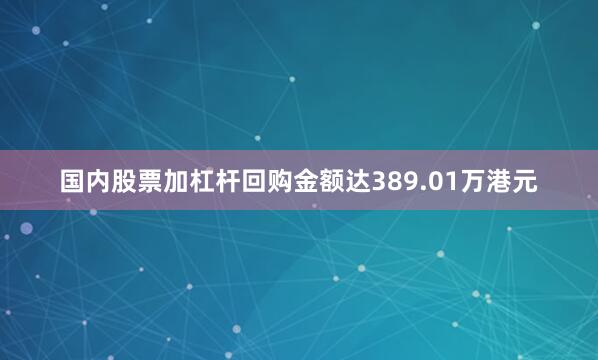 国内股票加杠杆回购金额达389.01万港元