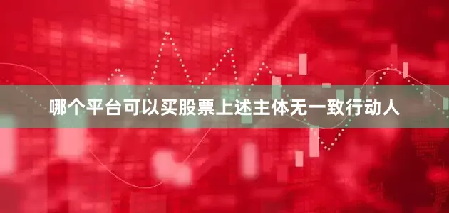 哪个平台可以买股票上述主体无一致行动人