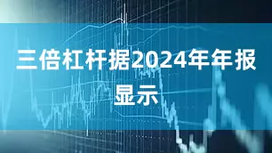三倍杠杆据2024年年报显示
